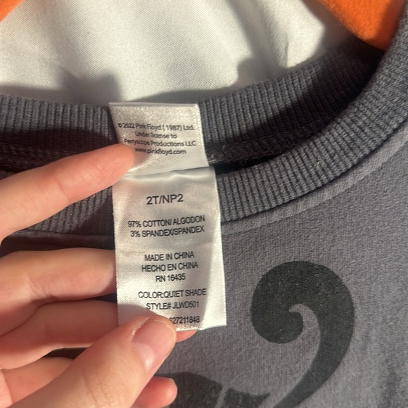 Toddlers Pink Floyd Sweatshirt 2T grey logo swirl pattern music classic rock - Picture 7 of 13